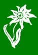 1.Gebirgs-Division Emblem
