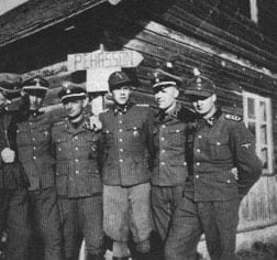 WW2 Waffen-SS Swedish Officers